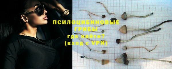 хмурый Алзамай
