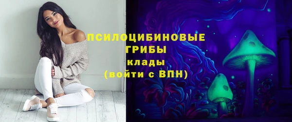 ПСИЛОЦИБИНОВЫЕ ГРИБЫ Алексин