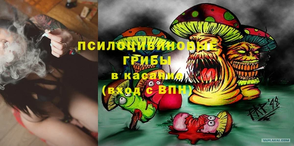 эйфоретик Абаза