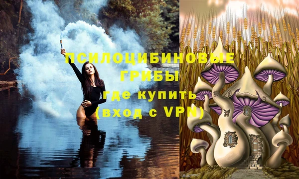 хмурый Алзамай