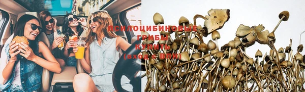ПСИЛОЦИБИНОВЫЕ ГРИБЫ Алексин