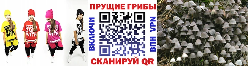 Галлюциногенные грибы ЛСД  Шимановск 